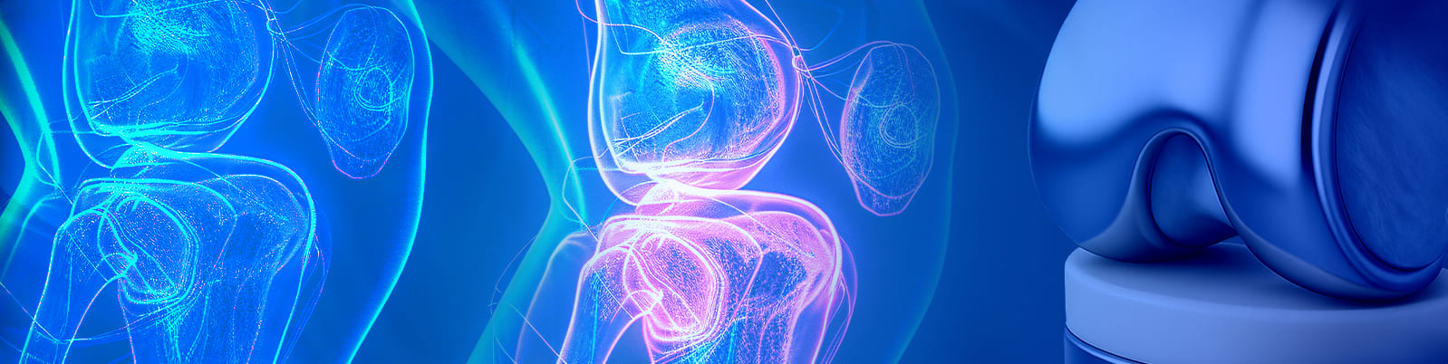 Contemporary Concepts and Techniques in Knee Surgery